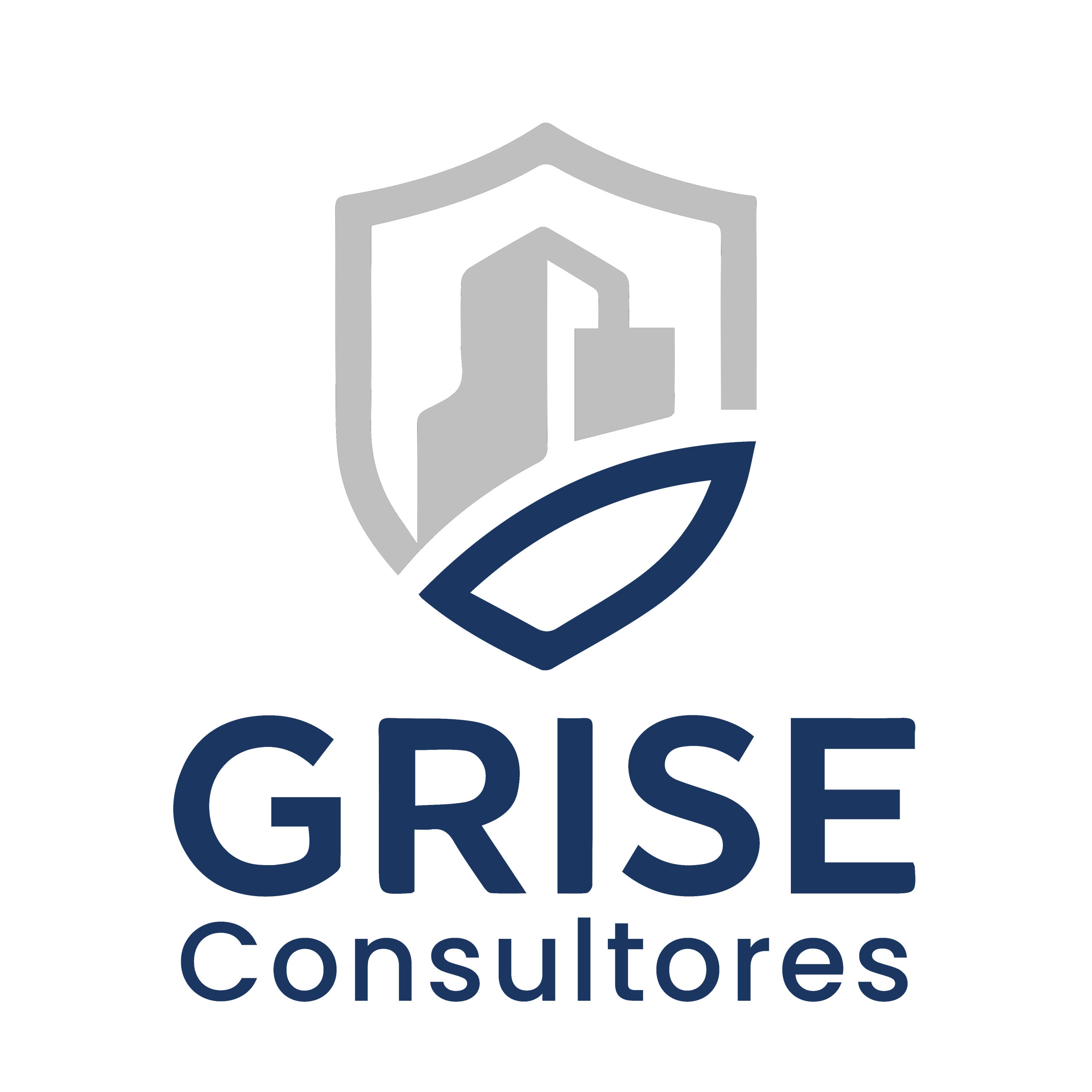 Grise consultores